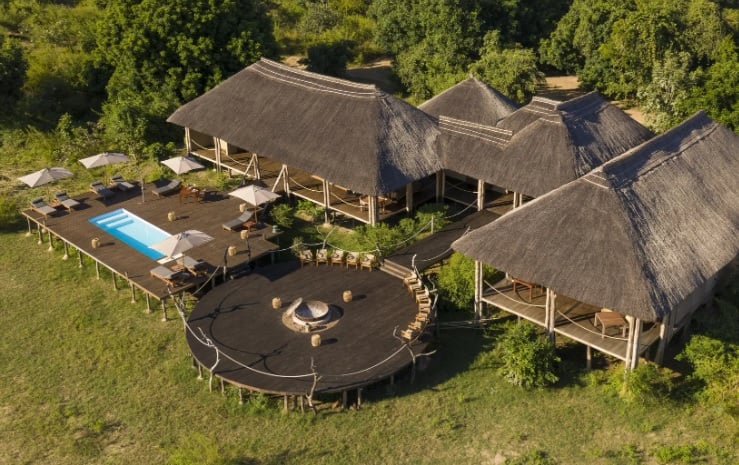 8 Day South Luangwa Wildlife Photography Pangolin Safari 